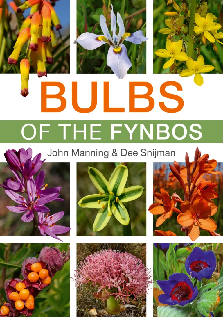 Bulbs of the Fynbos